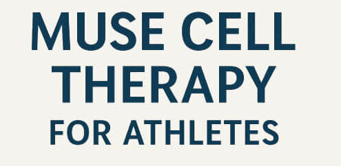 Muse Cell Therapy for Athletes
