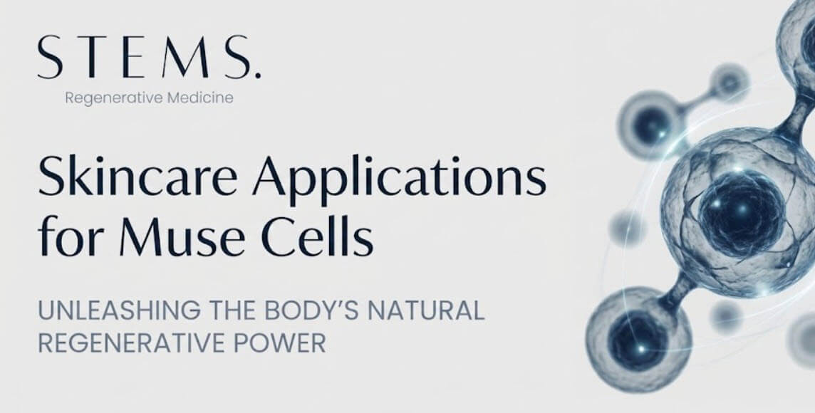 Skincare applications for muse cells